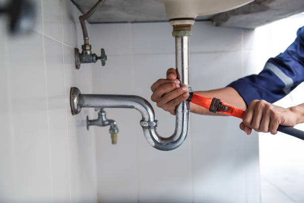 Best Local Plumber Services  in Edburgh, IN