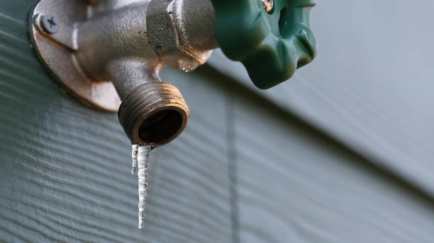 Best Shower Repair Services  in Edburgh, IN