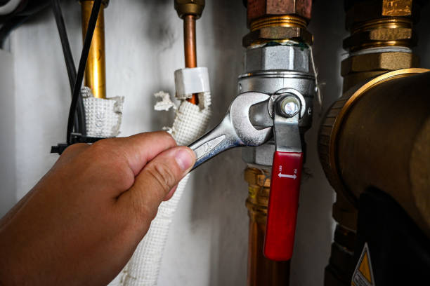 Best Plumbing Services Near Me  in Edburgh, IN